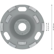 Professional 2608601763 Taşlama Diski Expert Açılı Taşlama Makinesi (Için, Taşlama Diski: 125, Delik Çapı: 22,23 Mm, Bileyici Için Aksesuar)