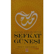 Kişisel Yayınlar Buzdan Dağları Eriten Şefkat Güneşi Reşit Haylamaz (2.el Kitaptır)