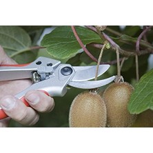 J441 Makas Baumschere Bir El Kurve 21 Cm.