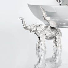 Ganesha Tekli Sunumluk 12,3 M