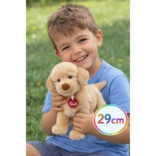 Toyfest Trudi Peluş Labrador Liam 29 cm