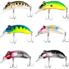 Japanese Chico Maket Balık