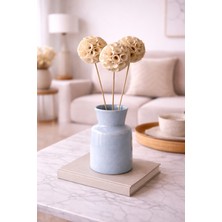 B'Clara Home 3'lü Shola Crape Dekoratif Kuru Çiçek Vazo Çiçeği