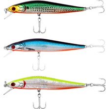 Japanese Vision Maket Balık