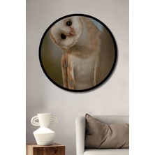 Petmudo AVM  Baykuş Yağlı Boya Görünümlü Dekoratif Ahşap Tablo Yuvarlak Duvar Tablosu Çerçeve Görünümlü