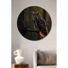 Petmudo AVM Ormanların Bilge Gözü Kartal Baykuş Yağlı Boya Görünümlü Ahşap Tablo Yuvarlak Duvar Tablosu