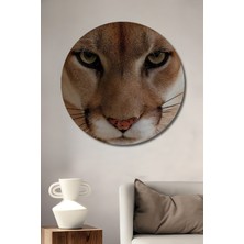 Petmudo AVM Aslan Gözleri Yağlı Boya Görünümlü Ahşap Dekoratif Tablo Yuvarlak Duvar Tablosu