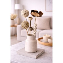 B'Clara Home Tropikal Natürel Dekoratif Kuru Çiçek Vazo Çiçeği