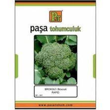 Paşa Tohumculuk Brokoli (Turaç) 2 gr X2 Paket