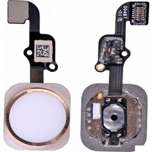 Genos iPhone 6s Uyumlu Home Tuşu (Gold) (SN806691)