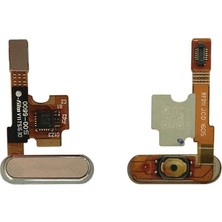 Genos Xiaomi Mi 5 Uyumlu Parmak Izi Okuyucu Home Tuş (Gold) (SN806786)