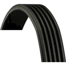 Bando Mtxdpn Kanalli Kayiş Audi A6-A8-Logan-Hyundai-Pajero-Almera-Micra-Clio Ii-Iii-Kng 1.5 Dci-Mgn Ii-Modus-Aven