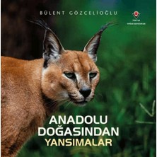 Lisinya Anadolu Doğasından Yansımalar