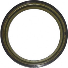 Brucke Matrixzn Abs Okuyucu Halka Arka Sandero-dokker