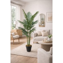 Maki Dekor Yapay Areka 160 cm 12 Yapraklı Dekoratif Salon Ağacı