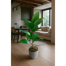 Maki Dekor Yapay Kauçuk Ağacı 65 cm Boyunda 15 Yapraklı Dekoratif Salon Bitkisi