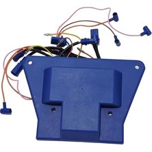 Hasyılmaz Johnson Evinrude Uyumlu Ateşleme Modülü 113-6212