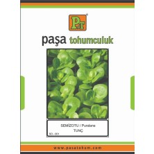 Paşa Tohumculuk Semizotu (Tunç) 10 gr