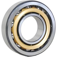 Gea 0011-7305-100 Rulman