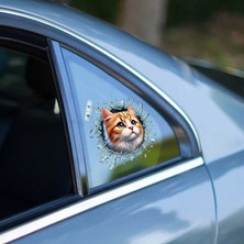 Aspartam Fulcar Sarman Araç Stickerı