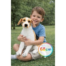 Oturan Beagle Peluş Köpek 68 cm