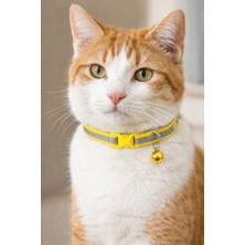 Petesia Reflektörlü Zilli Kedi Boyun Tasması 19X1 cm