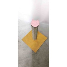 Medusa Kedi Tırmalama