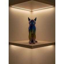 Koyu Rainbow Kedi ( Lisinya )