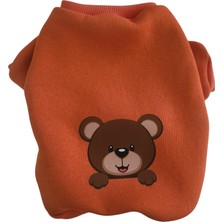 Kedi Köpek Kıyafeti Polarlı Turuncu Ayıcık Baskı Sweatshirt