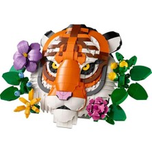 SHC4200 Bfs Fauna Koleksiyonu Kaplan 31217