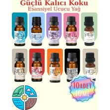 PellDio 10'lu Esansiyel Uçucu Koku Yağı Buhurdanlık Yağı Difüzör Esansı Hobi Esans Ortam Oda 10ML