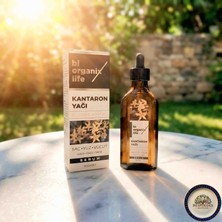 Hesperides Souvenirs Kantaron Yağı Serumu 100 ml - Aydınlatıcı ve Nemlendirici Cilt & Saç Bakım Yağı