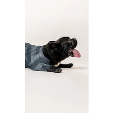 Batik T-Shirt Köpek