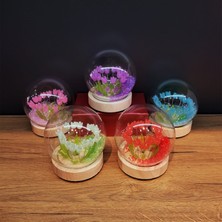 Ayder Timya Led Işıklı Lale Cam Fanus 1 Adet TG/Tmya1395 223870