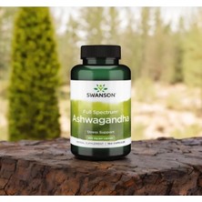 Full Spectrum 450 Mg 100