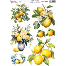 E Hobici Koyu Zemin Sulu Transfer Kağıdı 25X35CM KST-132 Limon