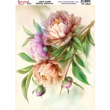 E Hobici Pirinç Dekopaj Kağıdı 30X42CM PT-3847 Çiçek