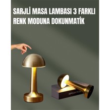 HERŞEYBURDAMODA Kademeli Ayarlanabilir Işık – USB Şarjlı Masa Lambası