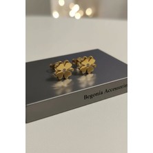 Begonia Accessories 24 Ayar Altın Kaplama Vip Çelik Paslanmaz Kararmaz Antialerjik 9 mm Zirkon Taşlı Yonca Figürlü 1 Çift Küpe Seti