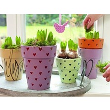 Edding 4 – 51538 Calligraphy Xmas Ekran Pen ve Marker, 38 Parça, Karton, 180 x 90 x 200 mm