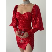 Livizmir Moda Nico Pul Payet Elbise