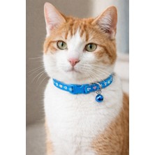 Petesia Minnie Kedi Boyun Tasması 19X1 cm