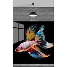 Petmudo AVM Renkli̇ Si̇yah Balik Temperli̇ Cam Üzeri̇ne Sevgi̇li̇ni̇ze Yilbaşi Hedi̇ye