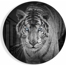 Petmudo AVM Kaplan Cam Tablo NO:2008 | Hediyelik, Dekoratif, Ofis, Mutfak