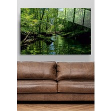 Petmudo AVM Manzara Cam Tablo, Dekoratif Cam Tablo