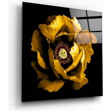 Petmudo AVM Çiçek Cam Tablo NO:2011