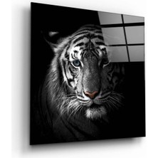 Petmudo AVM Kaplan Cam Tablo NO:2014