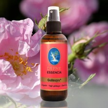 Nuka Defne Esencia Gül Suyu Hidrolatı - Geleneksel (Sprey)