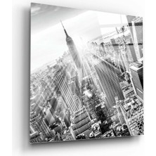 Petmudo AVM New York Cam Tablo