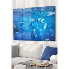 Petmudo AVM Okyanus ve Balıklar | Hayvan Temalı Cam Tablo | Dekoratif Cam Tablo | 50X70 cm